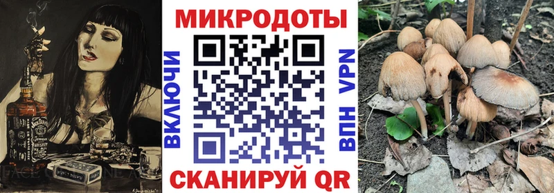 Купить  Ясный  Галлюциногенные грибы Psilocybe 